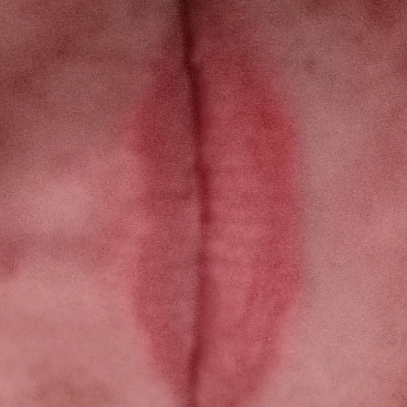 pussycat1203