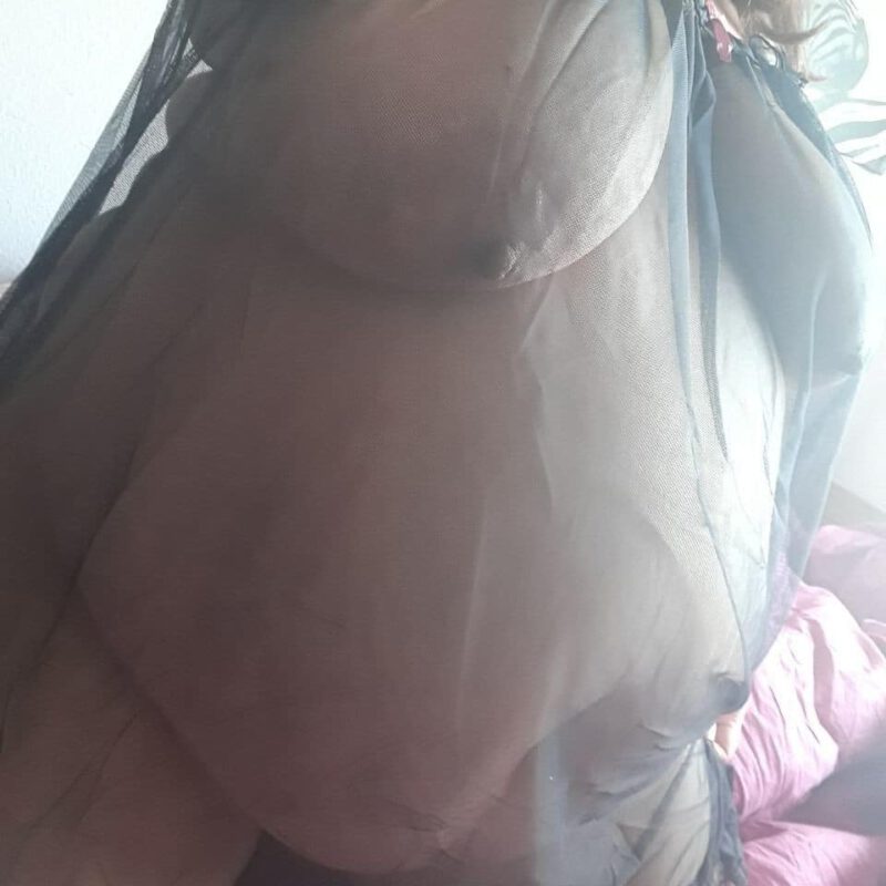 Aletheia-SSBBW